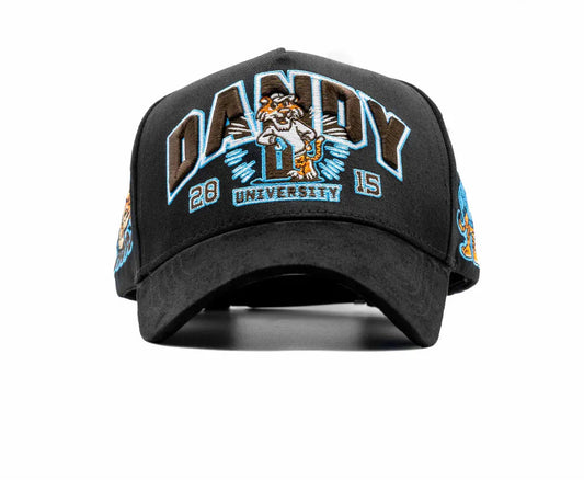 DANDY HATS “UNIVERSITY”